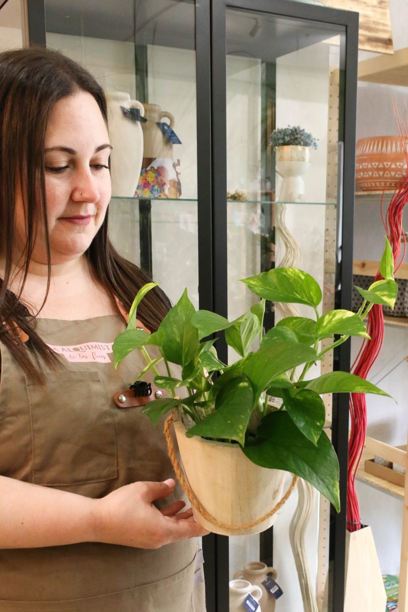 Pothos en un ambiente interior con maceta decorativa