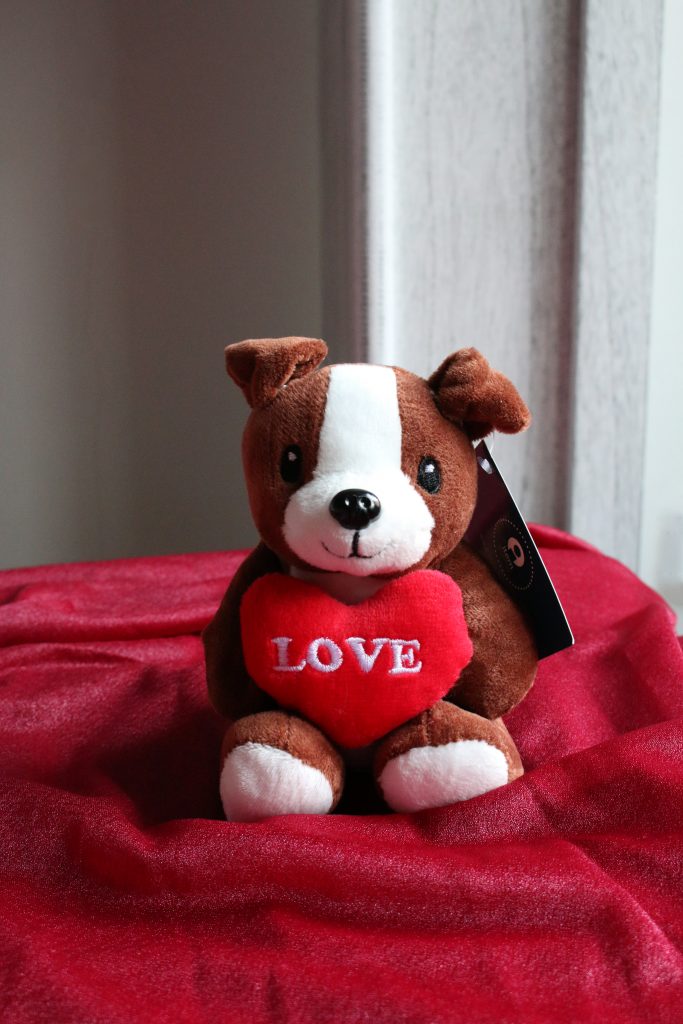 Peluches con corazón para San Valentín - Surtido de perros adorables