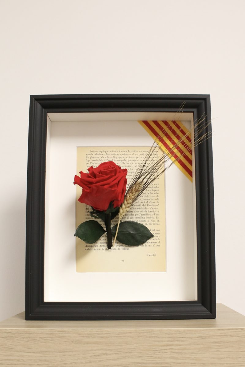 Marco Sant Jordi – Rosa preservada con fondo de libro y senyera - Imagen 7
