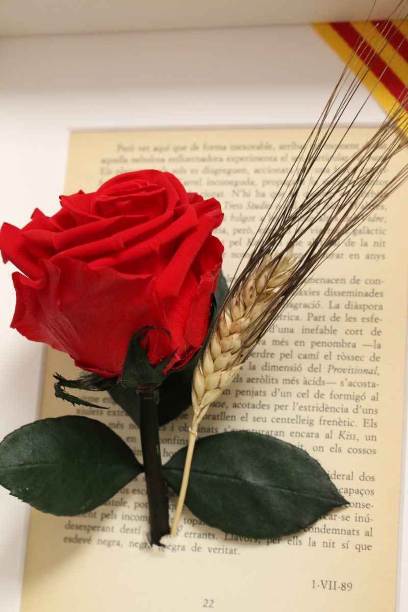 Marco Sant Jordi – Rosa preservada con fondo de libro y senyera - Imagen 6