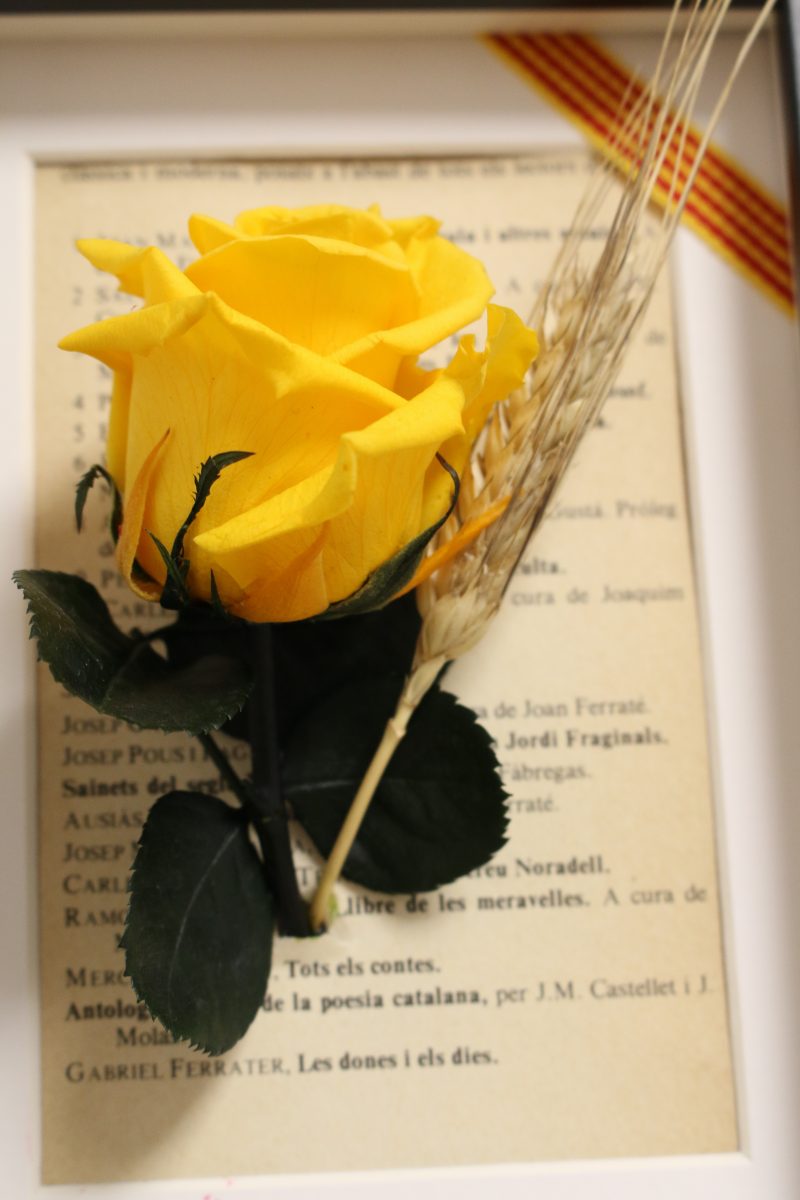 Marco Sant Jordi – Rosa preservada con fondo de libro y senyera - Imagen 4